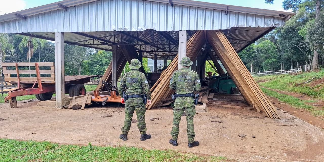 Em Turvo polícia ambiental encontra madeiras serradas de Araucária e Imbuia