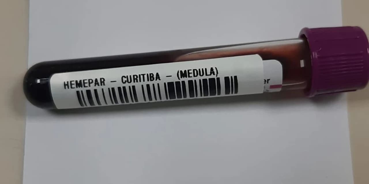Fevereiro Laranja: mês da conscientização sobre leucemia reforça importância do diagnóstico