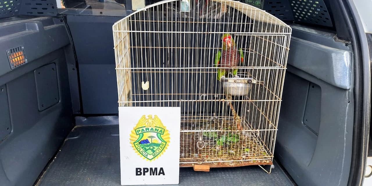 A pedido do MP polícia ambiental atende denúncia de crime de maus-tratos contra animais domésticos em Guarapuava