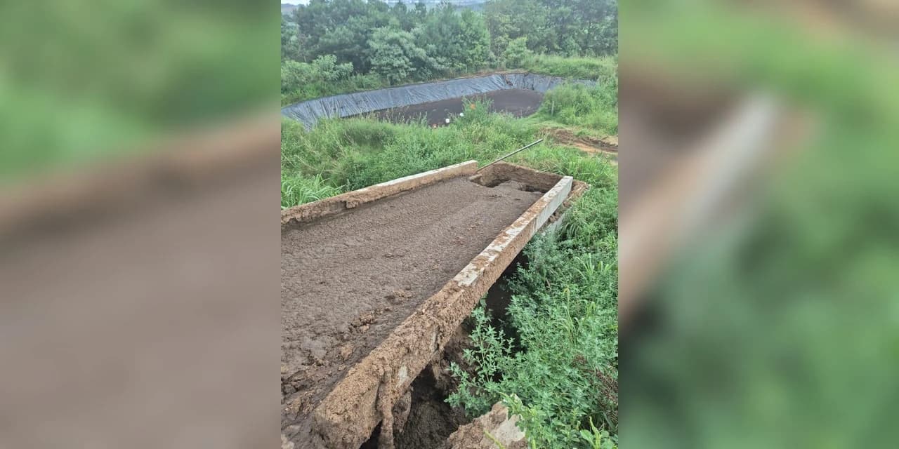 Em Palmeira polícia ambiental flagra descarte de dejetos bovinos diretamente no solo