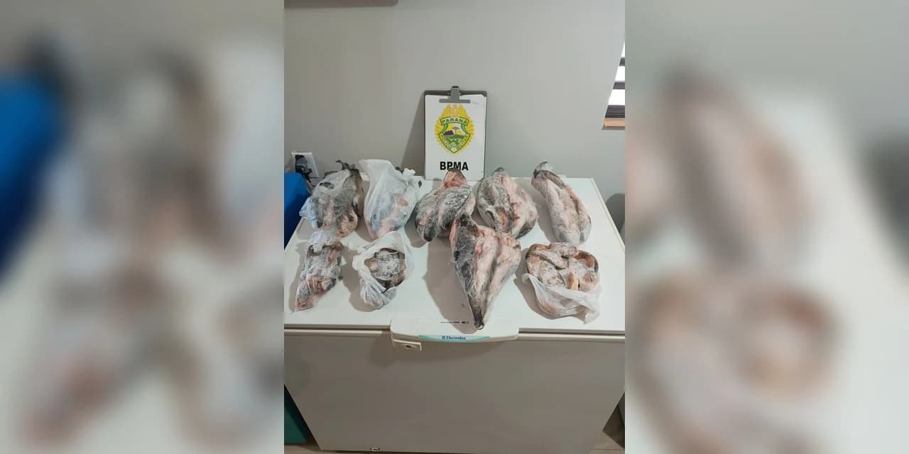 Polícia ambiental realiza a apreensão de pescado de espécies nativas, entre elas traíra, cascudo, lambari e bagres