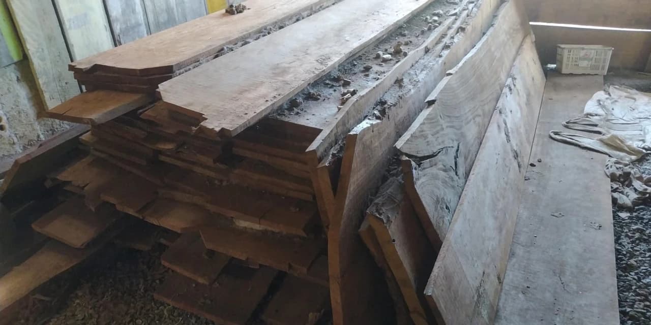 Polícia Ambiental apreende madeira nativa sem documentação em área rural de São Mateus do Sul