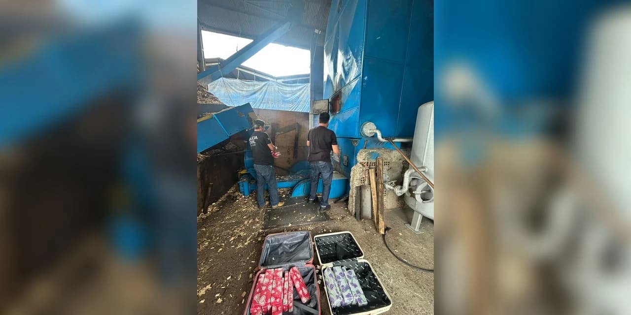 Polícia Civil incinerou aproximadamente 30 Kg de drogas em Teixeira Soares