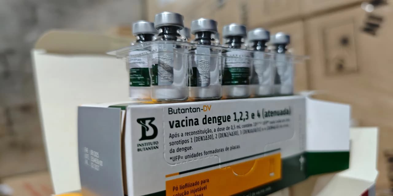Estado reforça convocação de profissionais de saúde para vacinação contra dengue