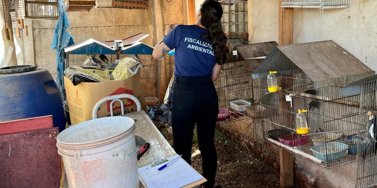 Operação entre IAT e PCPR resgata 42 aves de cativeiro em Assis Chateaubriand
