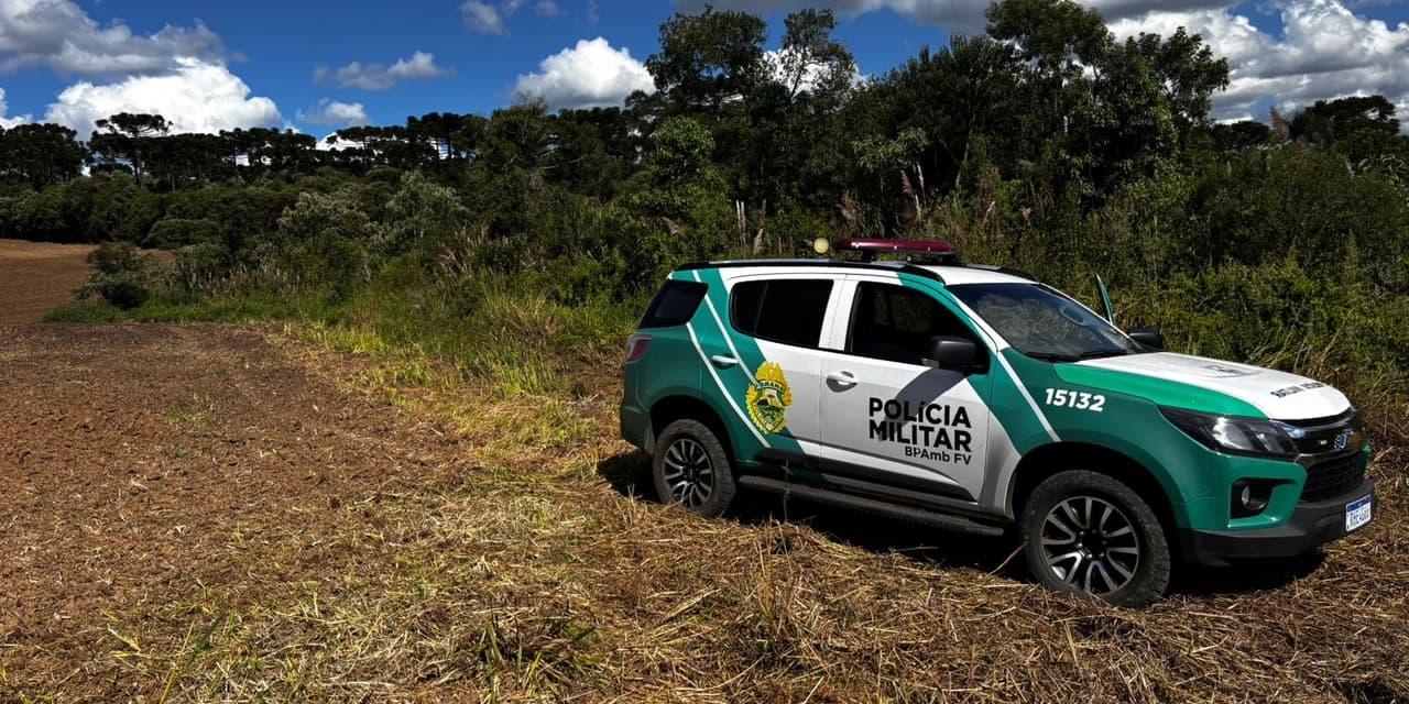 Polícia ambiental autua descumprimento de embargo ambiental na divisa entre Irati e Imbituva