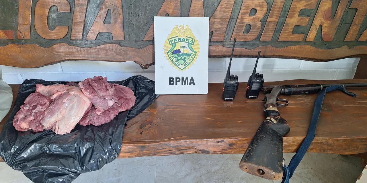 Caça ilegal é flagrada pela Polícia Ambiental em Candói