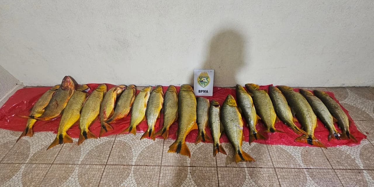Em Pinhão seis pessoas foram presas em flagrante pelos crimes de pesca em local proibido, uso de petrechos proibidos e captura de espécie protegida.