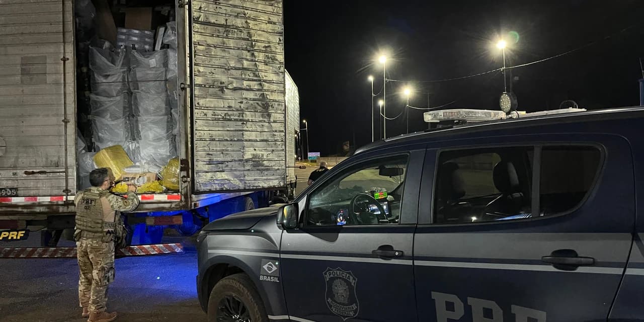 PRF apreende mais de 80 kg de droga com auxílio de cães farejadores em Santa Tereza do Oeste