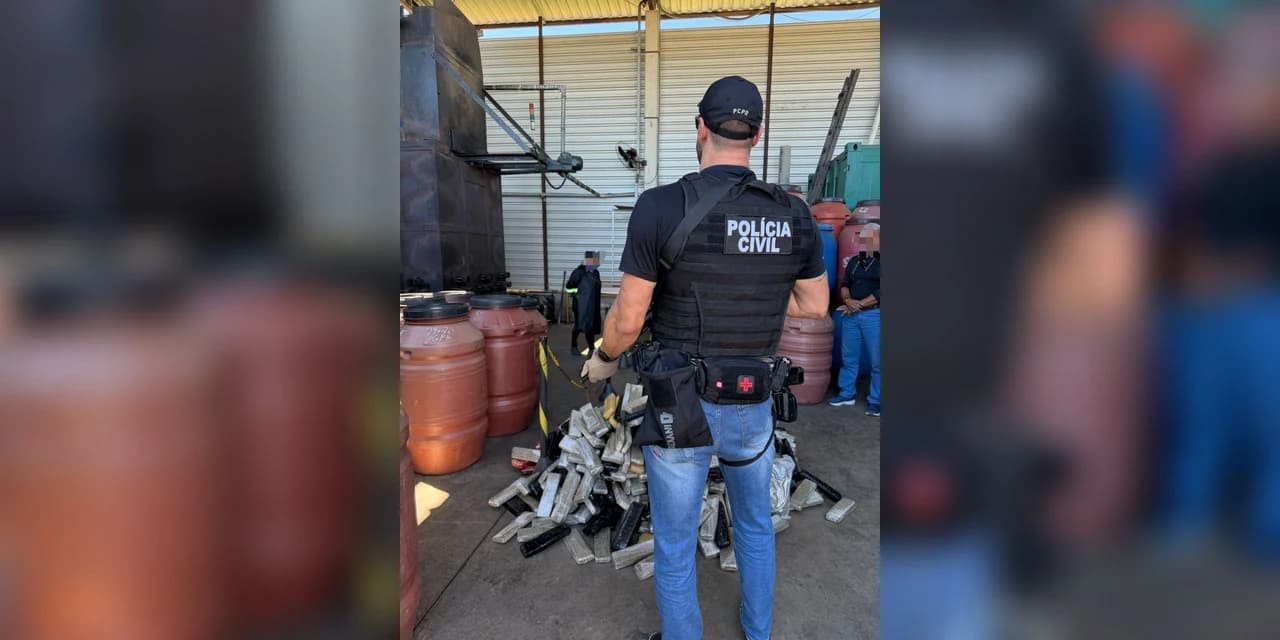 Polícia civil do Paraná realiza incineração de 639 Kg de drogas em Palmeira