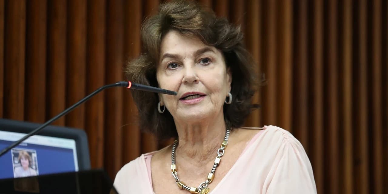Projeto de Cristina Silvestri incentiva grupos de apoio a mulheres vítimas de violência