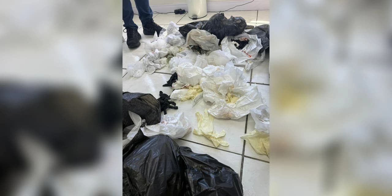 Operação da polícia civil interdita clínica de estética por procedimentos ilegais em Ponta Grossa