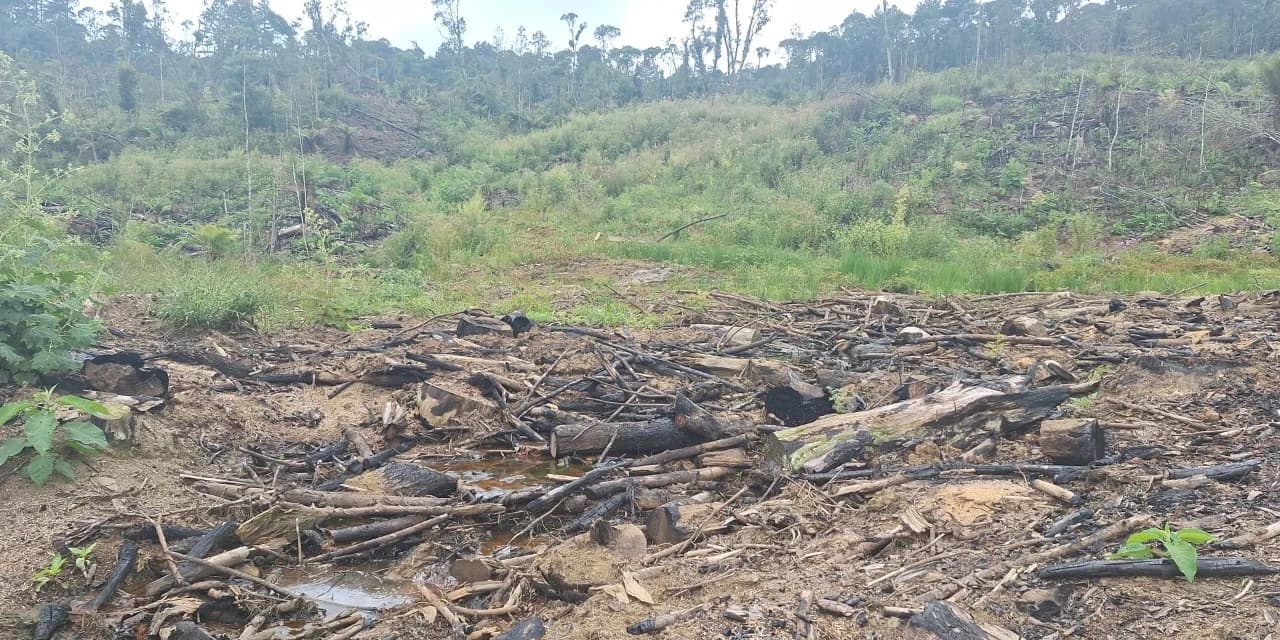 Uso de fogo e desmatamento ilegal em APP resultam em multa de R$ 90 mil em Inácio Martins