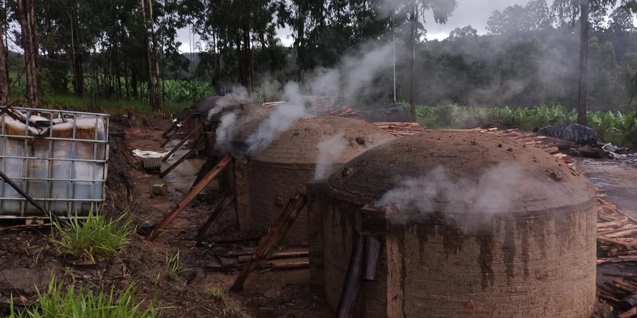 Polícia ambiental localiza oito fornos de produção de carvão vegetal operando sem autorização do órgão competente
