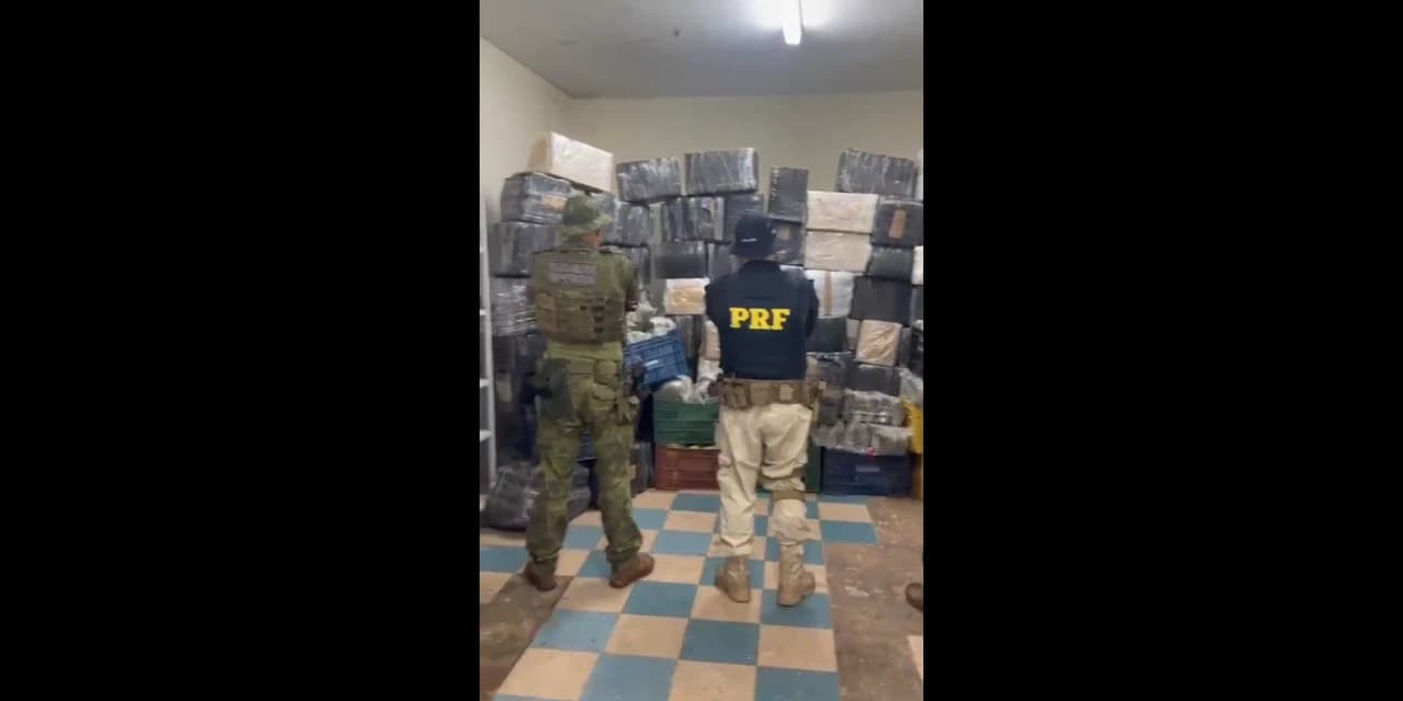 Ficco/PR apreende mais de 2,5 toneladas de maconha em caminhão e motorista é preso em Guarapuava