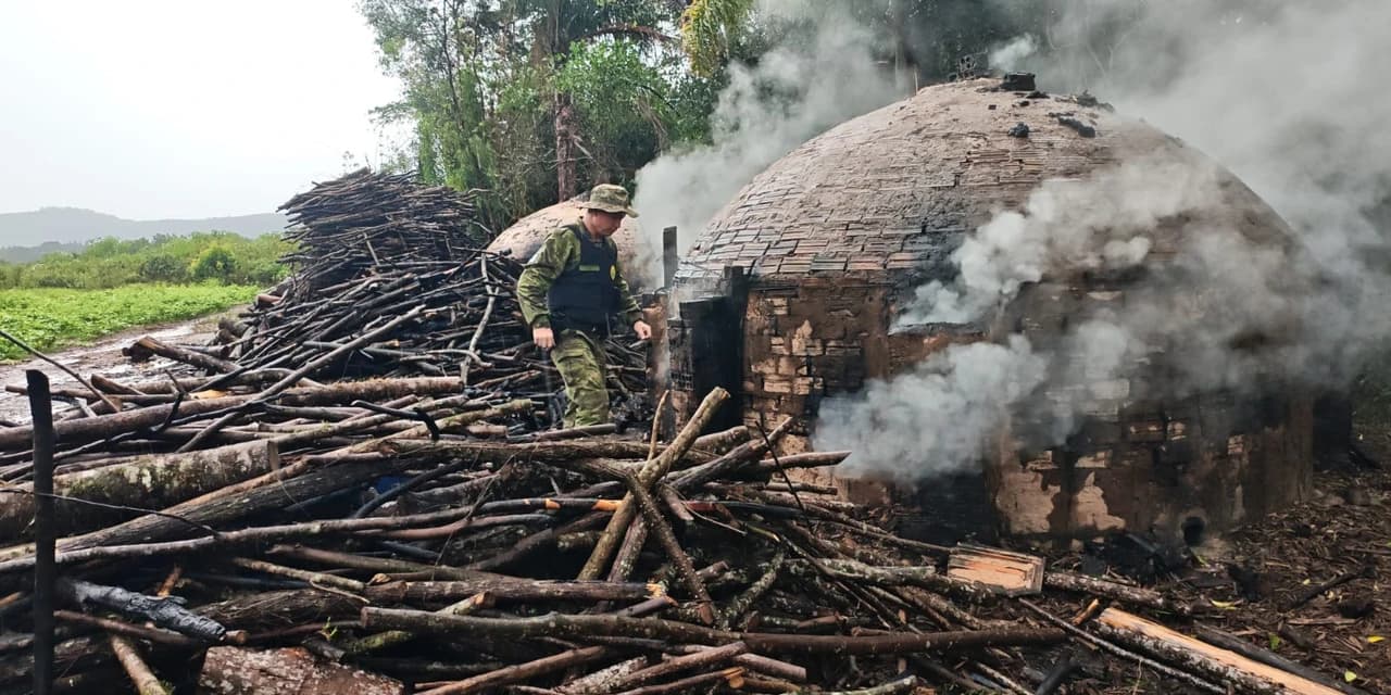 Ação da Polícia Ambiental flagra produção ilegal de carvão em Inácio Martins