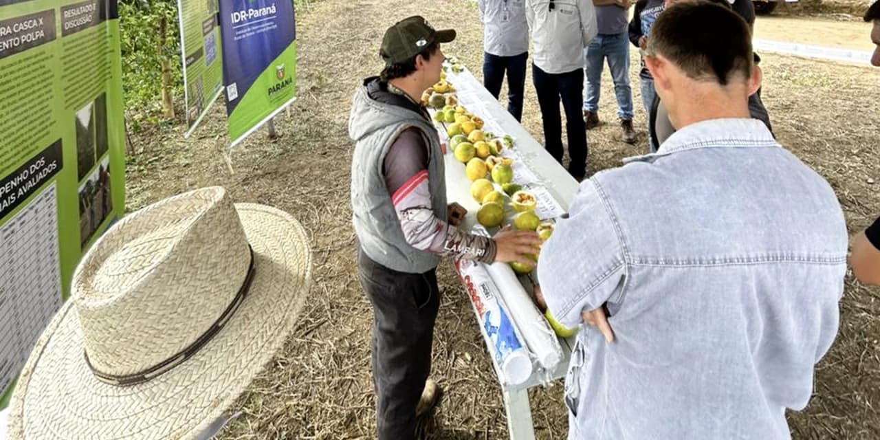 Secretaria de Agricultura de Prudentópolis promoveu o Dia de Campo voltado ao cultivo de maracujá
