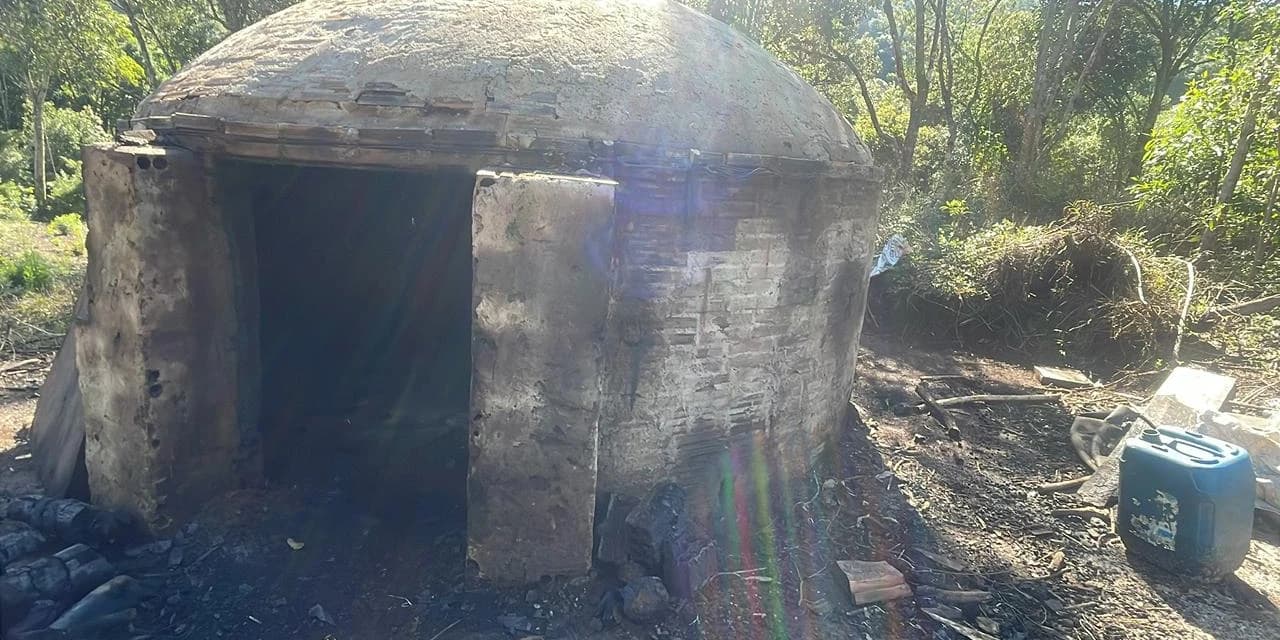 Polícia Ambiental localiza danos ambientais em Pinhão