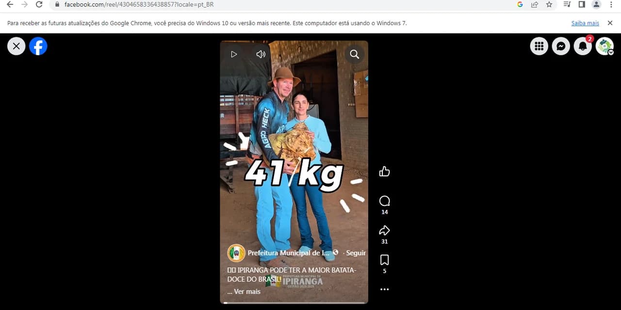 Ipiranga pode ter a maior batata-doce do Brasil