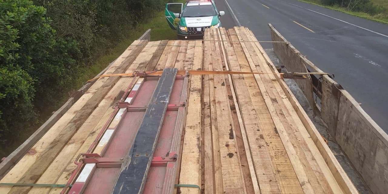 Polícia ambiental flagra transporte irregular de madeira em São Mateus do Sul