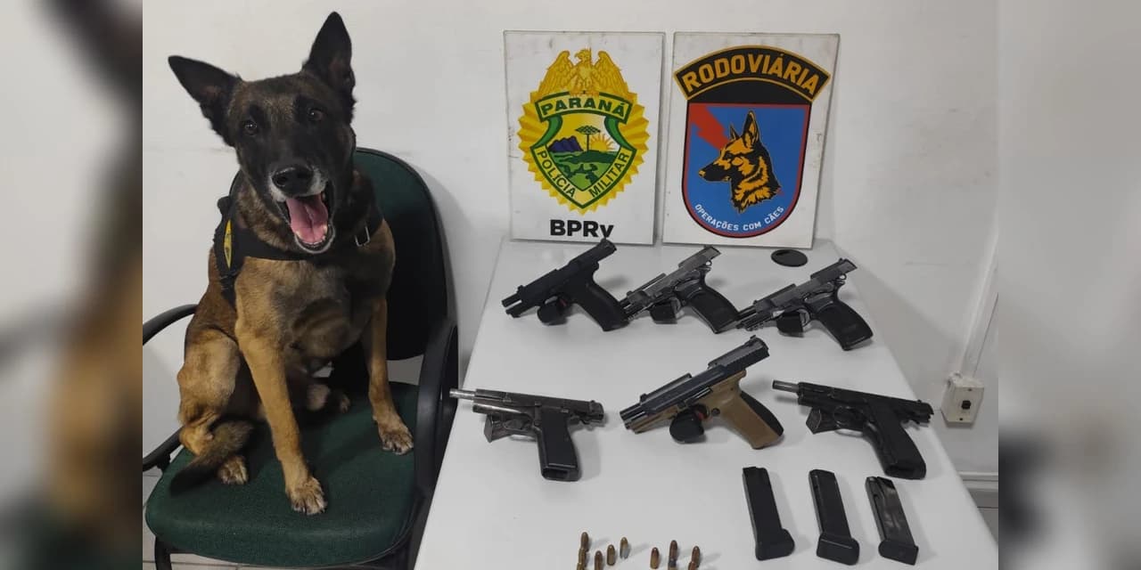 PMPR apreende seis pistolas em ônibus em operação de combate ao tráfico de armas em Piraí do Sul
