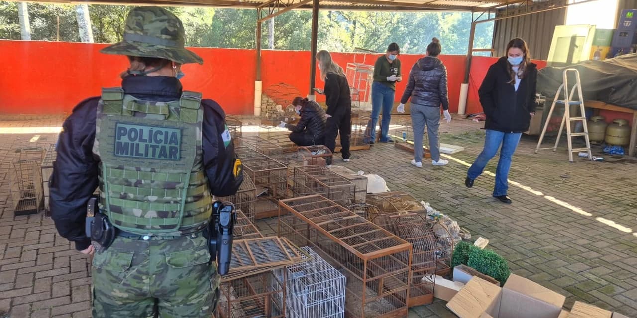 Polícia ambiental e IAT constatam maus tratos a aves silvestres em Guarapuava