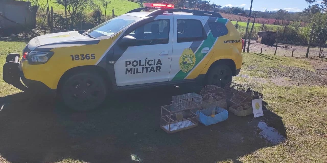 Polícia Ambiental apreende sete aves silvestres mantidas irregularmente em cativeiro em São Mateus do Sul