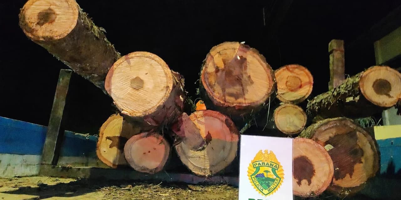 Transporte ilegal de madeira é flagrado pela polícia ambiental em Campo do Tenente