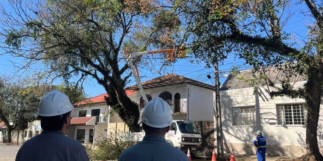 Em Prudentópolis Defesa Civil identifica riscos e orienta ação preventiva em árvores próximas a rede elétrica