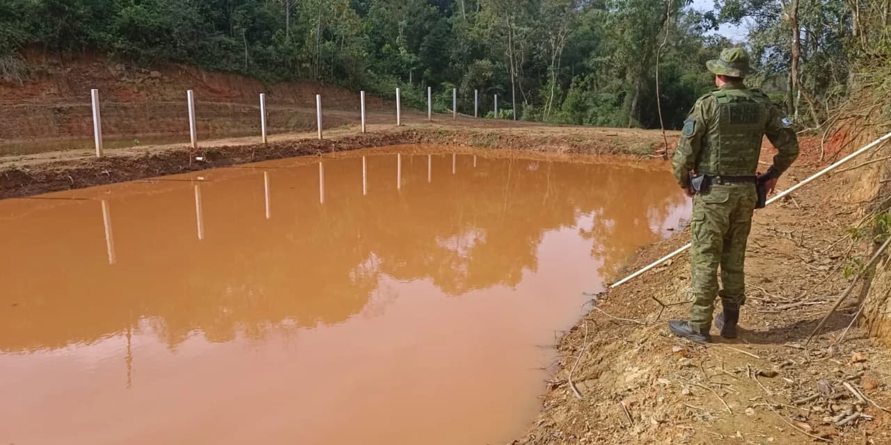 Polícia Militar Ambiental autua proprietário por dano à vegetação nativa em Ponta Grossa