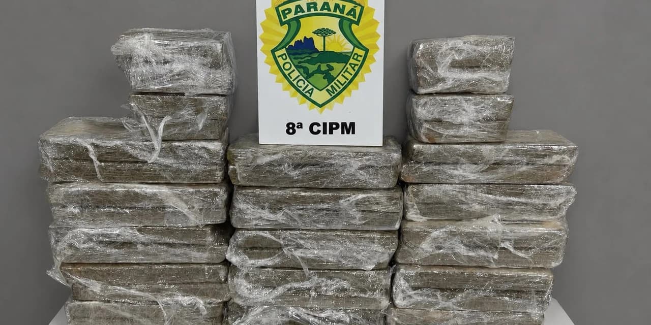Em Irati Polícia Militar e Polícia Federal localizam maconha em ônibus que fazia o itinerário Foz do Iguaçu a Curitiba