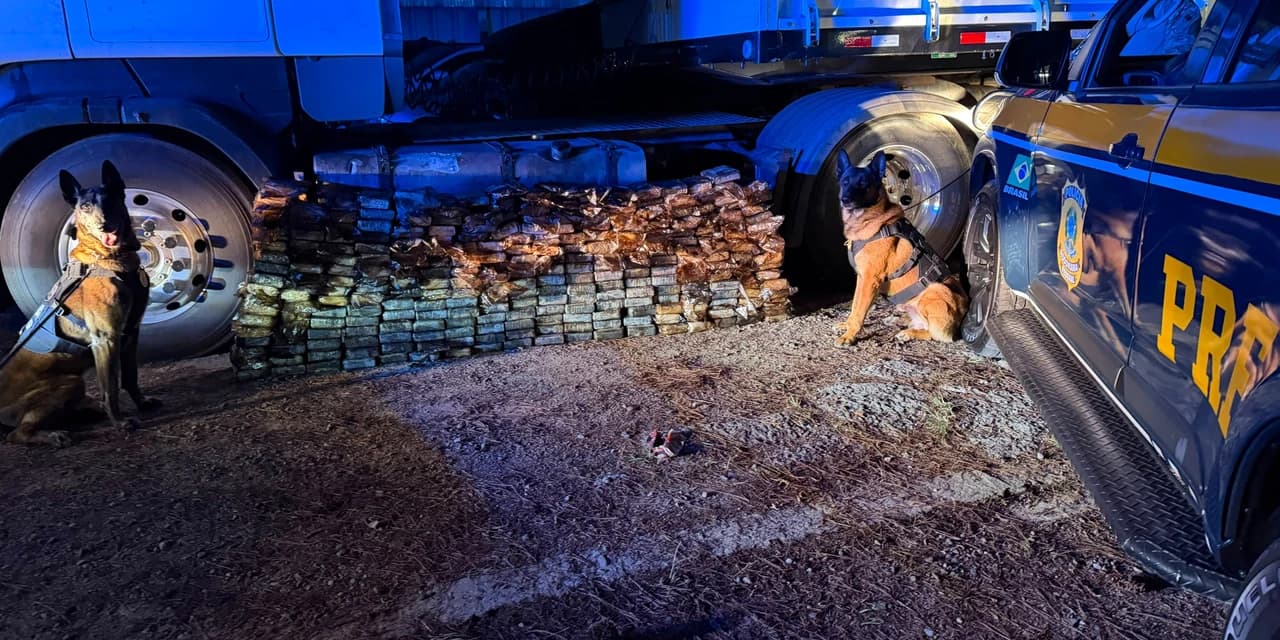 PRF localiza quase 300 kg de cocaína em tanque de carreta na região metropolitana de Curitiba
