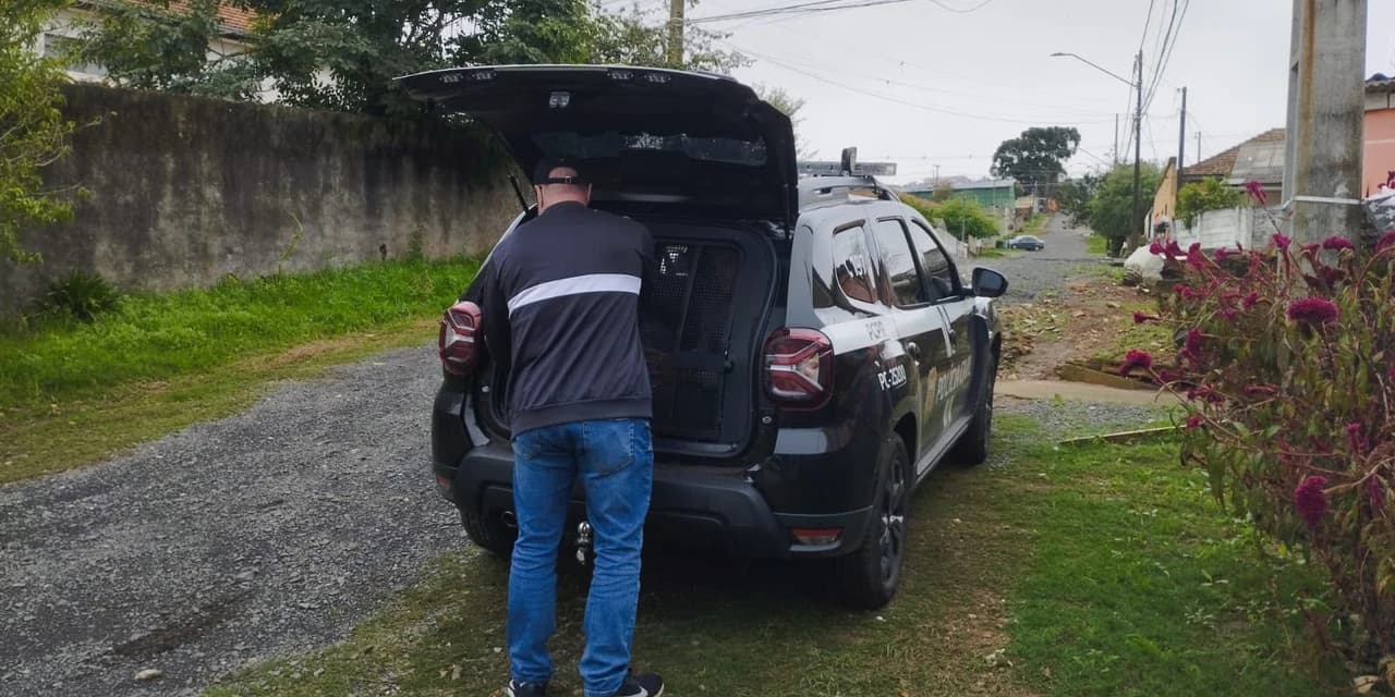 Nucria de Ponta Grossa cumpre mandado de prisão preventiva por estupro de vulnerável e exploração sexual