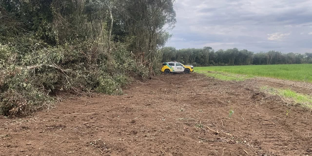 Polícia Ambiental Identifica Desmatamento Irregular em Pinhão