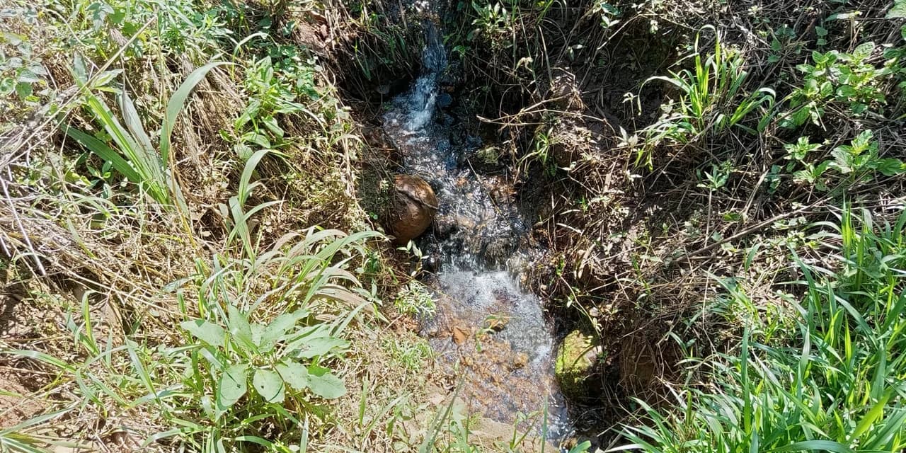 Operação Mata Atlântica em Pé X flagra crime ambiental em Área de Preservação Permanente em Prudentópolis