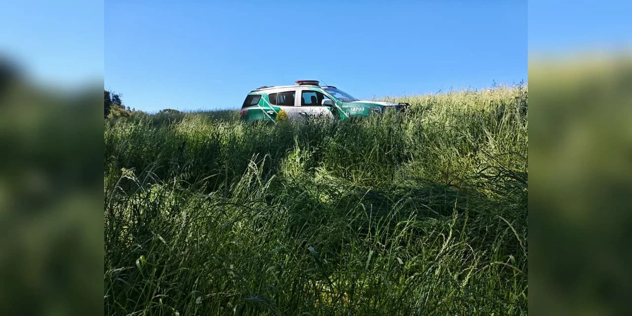 Polícia ambiental autua proprietário por destruição de vegetação nativa em Rio Azul