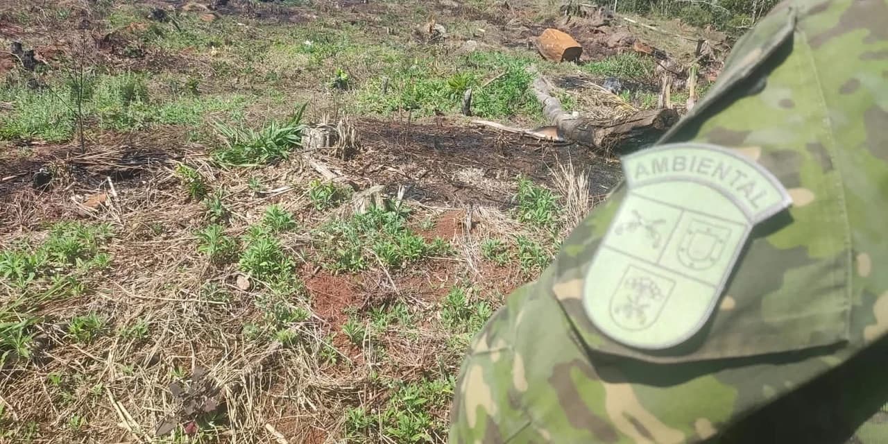 Polícia ambiental contata destruição de vegetação nativa em Cruz Machado