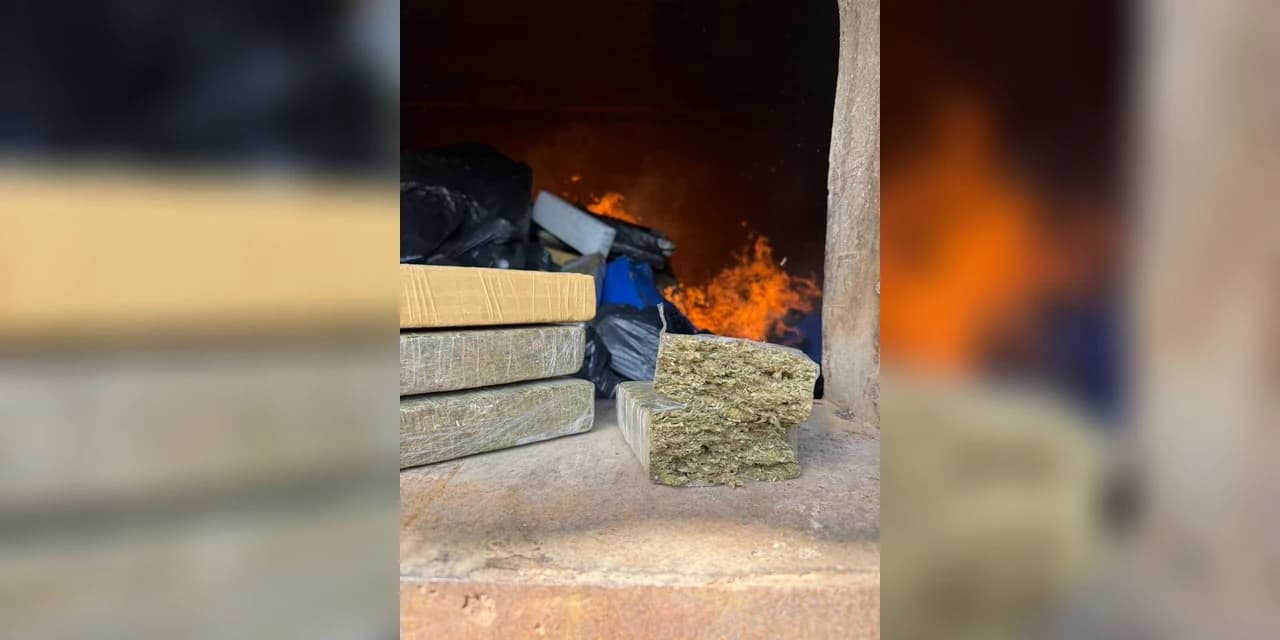 PCPR incinera mais de 1,4 tonelada de drogas apreendidas em ações recentes em Palmeira