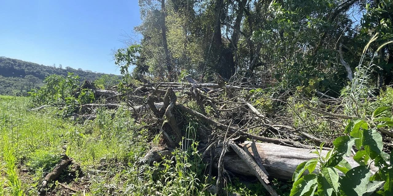 Polícia Ambiental constata desmatamento ilegal em Pinhão