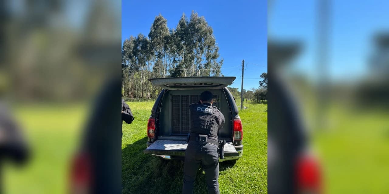 PCPR prende investigado por estupro de vulnerável em Irati