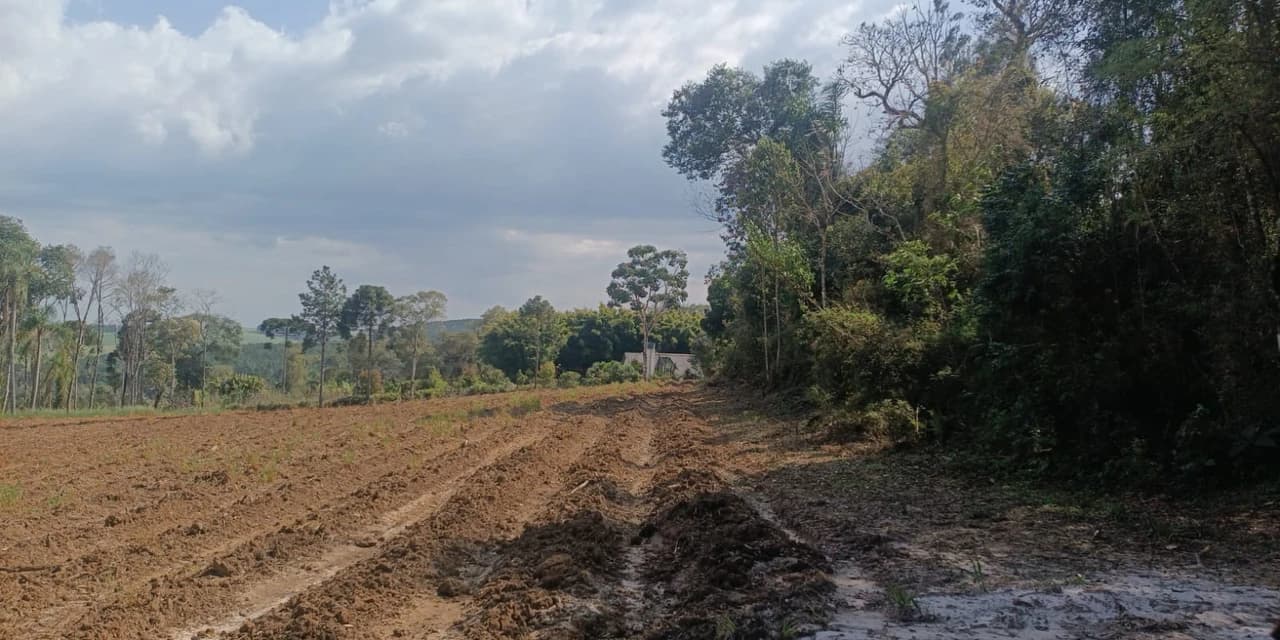 Policia ambiental realiza autuações por descumprimento de embargo e dano em Área de Preservação Permanente em Imbituva
