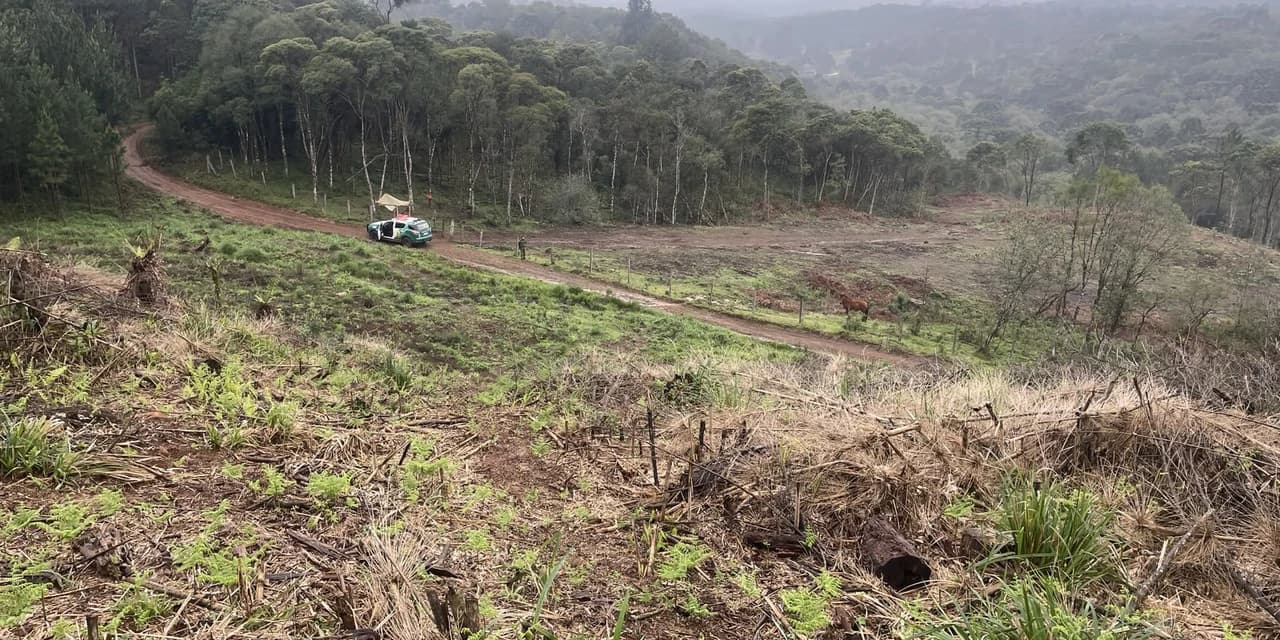 Polícia Ambiental contata destruição de vegetação nativa na APA da Serra da Esperança