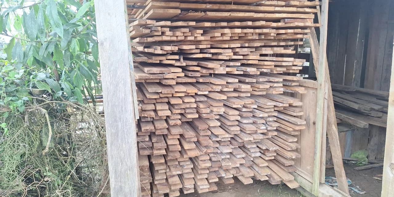 Polícia Ambiental autua proprietário por destruição de vegetação nativa em Prudentópolis