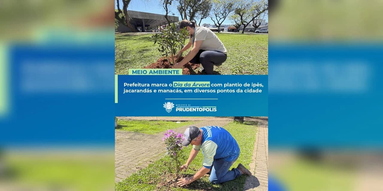 Prefeitura de Prudentópolis amplia arborização urbana com plantio de mudas no Dia da Árvore