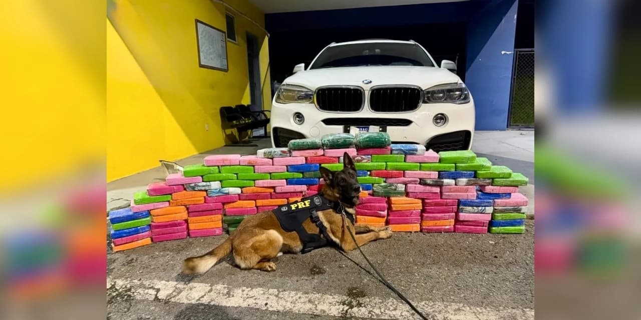 PRF apreende 136 kg de cocaína em BMW na BR-277 no Paraná