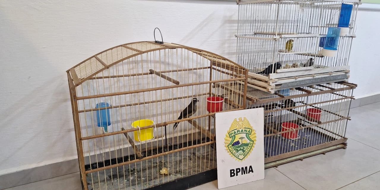 Em Pinhão Polícia Ambiental apreende aves nativas mantidas irregularmente em cativeiro
