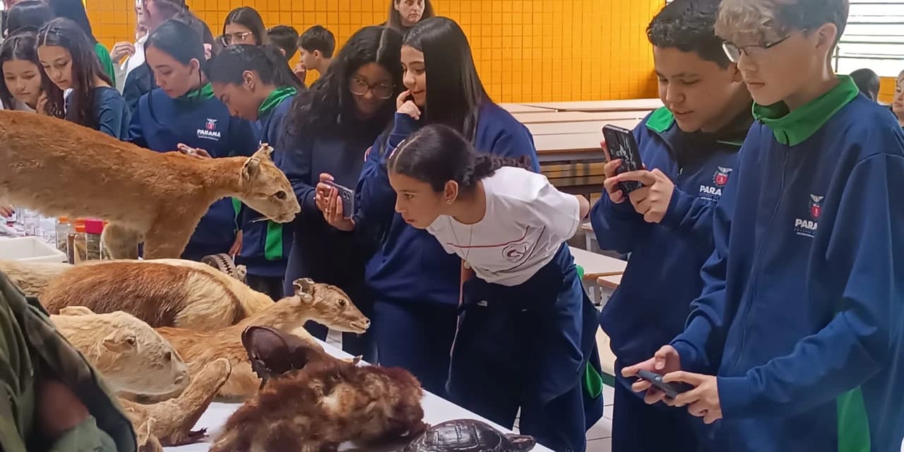Programa Ambientando 2026: PM Ambiental leva educação ambiental a alunos de Carambeí