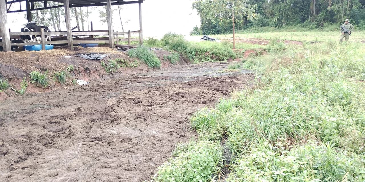 Polícia ambiental autua responsável por lançamento irregular de dejetos de leiteria em Cândido de Abreu