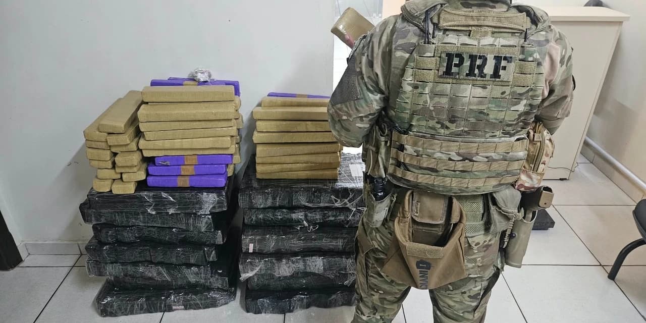 PRF apreende mais de 200 quilos de maconha em Ponta Grossa