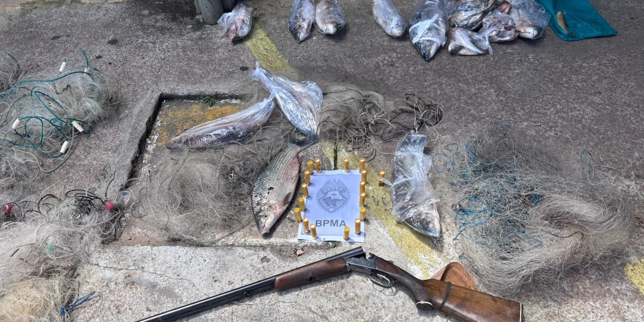 Polícia ambiental apreende redes de pesca, pescado e arma de fogo em Ipiranga
